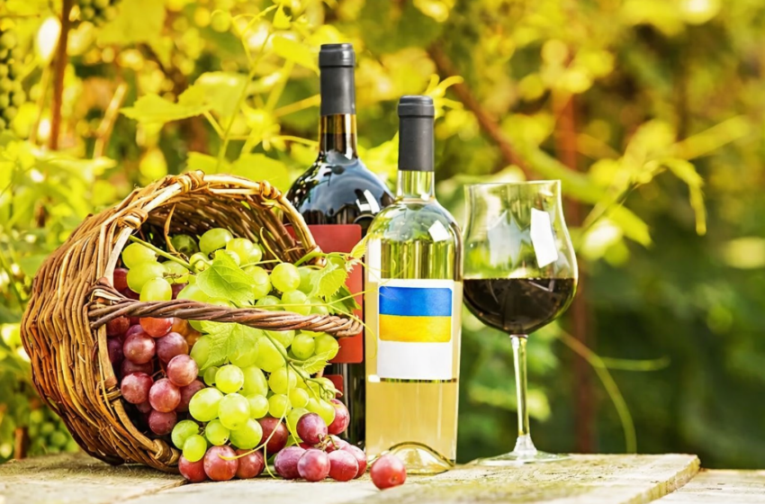  Виноробство на підйомі: кількість підприємств в Україні зросла на 70% — галузева асоціація