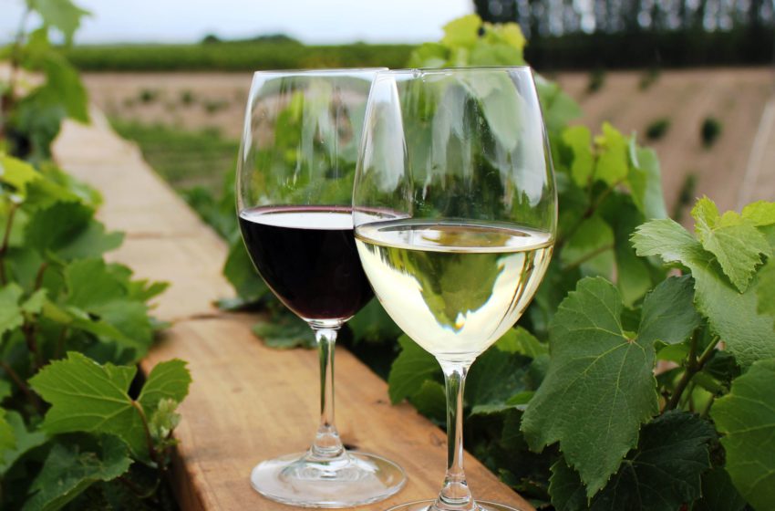  «Нам є чим пишатися»: винна експертка Анна Пекер — про втрату США ключового експортного ринку та перспективи українського вина