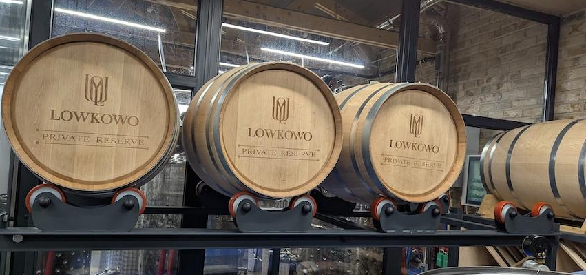  Виноград стає перспективною культурою на Житомирщині