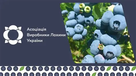  Асоціація «Виробники лохини України» — один із ключових партнерів HortiTech Ukraine 2026 та Академії Berry&Fruit