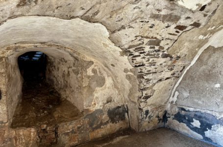 Понад 15 пивоварень та історичні локації: що готує Mukachevo Beer Fest 2026