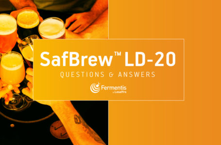 Дріжджі для сучасного лагерного пивоваріння SafBrew LD-20 від компанії Fermentis