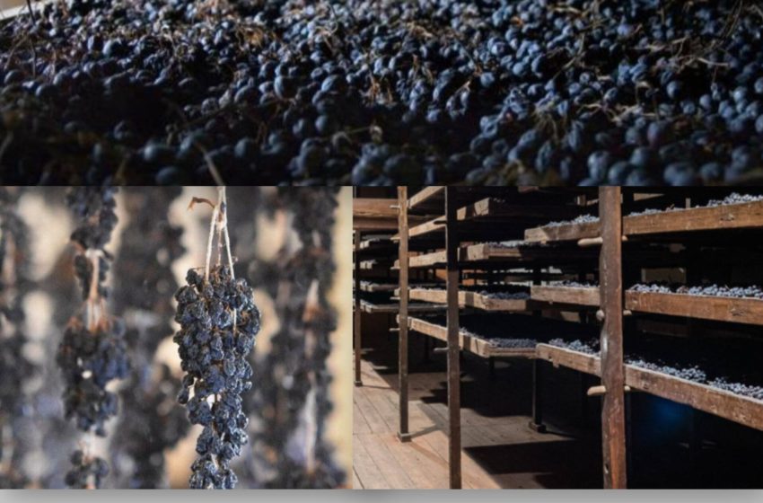  Ритуал «messa a riposo» з Вальполічелли номіновано на включення до нематеріальної спадщини ЮНЕСКО