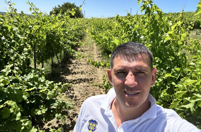  Українське виноробство змінюється: KRITSKI WINERY про тренди, нагороди та плани