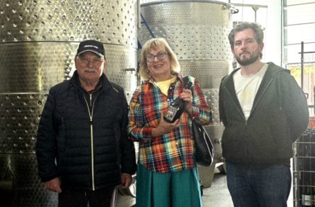 Квеврі, Солера і 18 місяців витримки: винна революція GIGI Winery