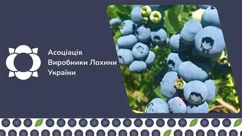  Асоціація «Виробники лохини України» — Головний Галузевий партнер AgroBerry&Veg 2026