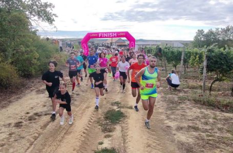 На виноградниках Закарпаття відбувся дев’ятий Wine Run